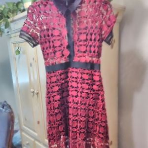 Lace Dress W/ Black Collars